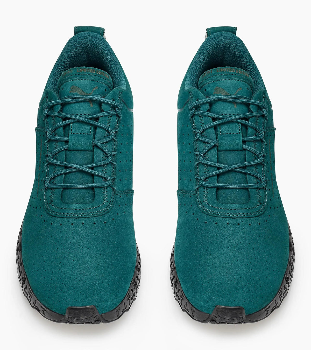 XETIC N Trainer