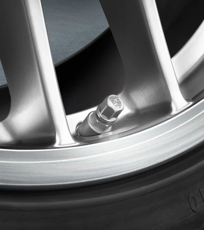 Porsche Decorative Valve Sleeves for 911 (991 II)