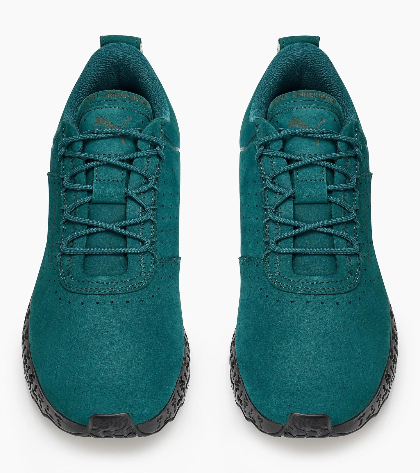 XETIC N Trainer