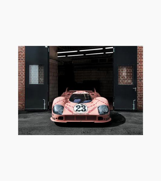 Poster set | 917 Pink Pig